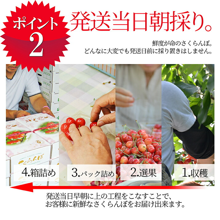 さくらんぼ 佐藤錦 700g 秀品 ギフト 贈...の詳細画像2