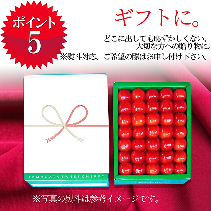 さくらんぼ 佐藤錦 or 紅秀峰 500g 特秀品 鏡詰め ギフト 贈答 2L