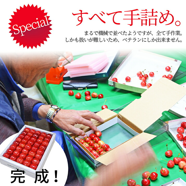 さくらんぼ 佐藤錦 or 紅秀峰 500g 特秀品 鏡詰め ギフト 贈答 2L