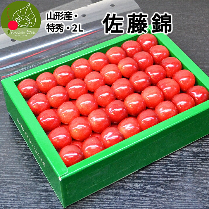 さくらんぼ 佐藤錦 or 紅秀峰 500g 特秀品 鏡詰め ギフト 贈答 2L