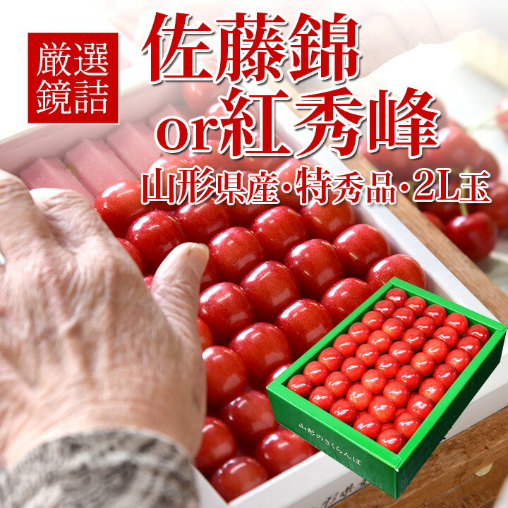 さくらんぼ 佐藤錦 or 紅秀峰 500g 特秀品 鏡詰め ギフト 贈答 2L