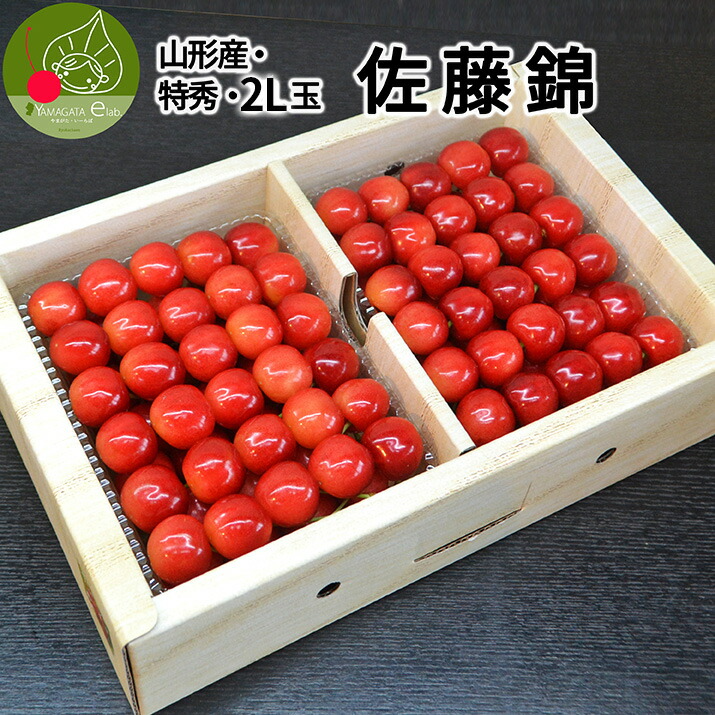 さくらんぼ 佐藤錦 1kg (500g×2) 特秀品 鏡詰め ギフト 贈答 2Lサイズ 山形 山形県産 お取り寄せ フルーツ サクランボ チェリー さくらんぼ 果物