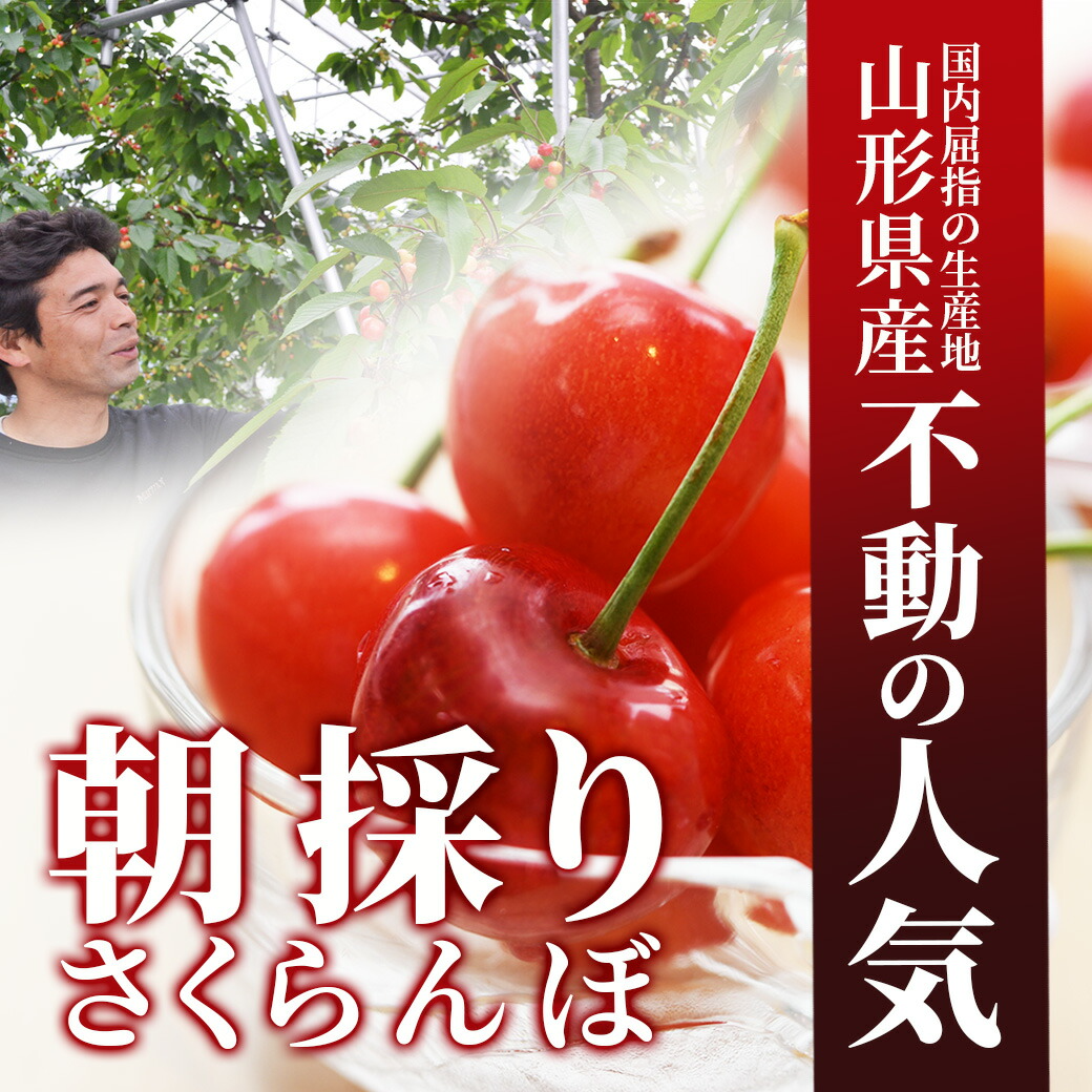 さくらんぼ 佐藤錦 700g 秀品 ギフト 贈...の詳細画像5