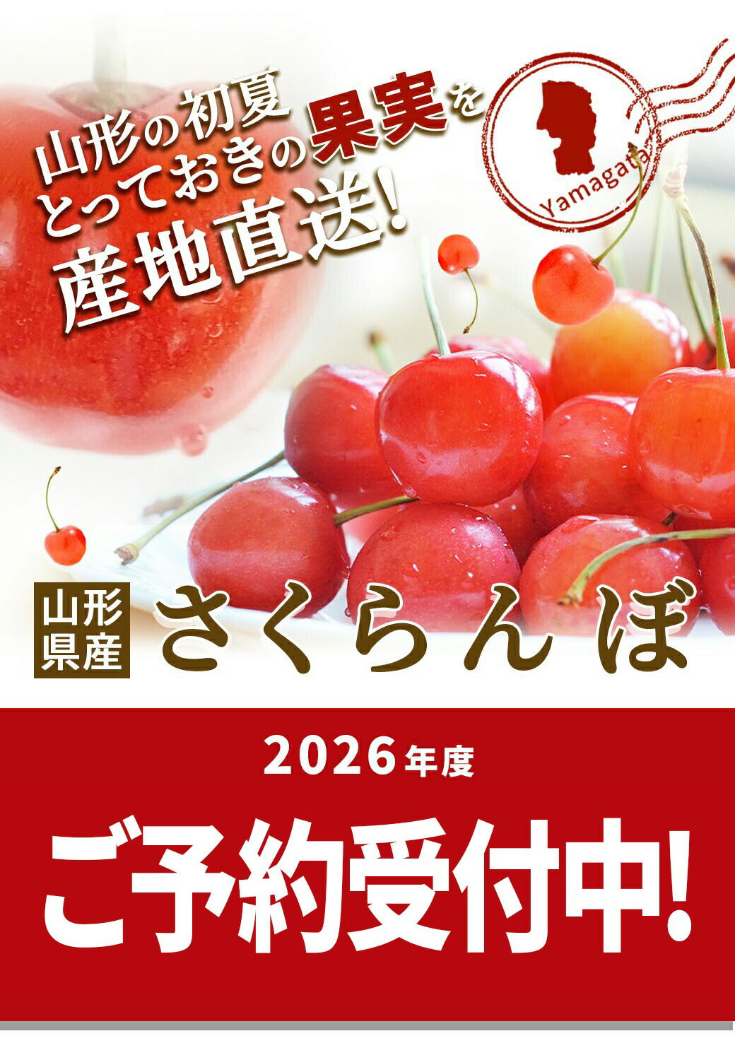 さくらんぼ 佐藤錦 700g 秀品 ギフト 贈答 Lサイズ 以上 山形 山形県産