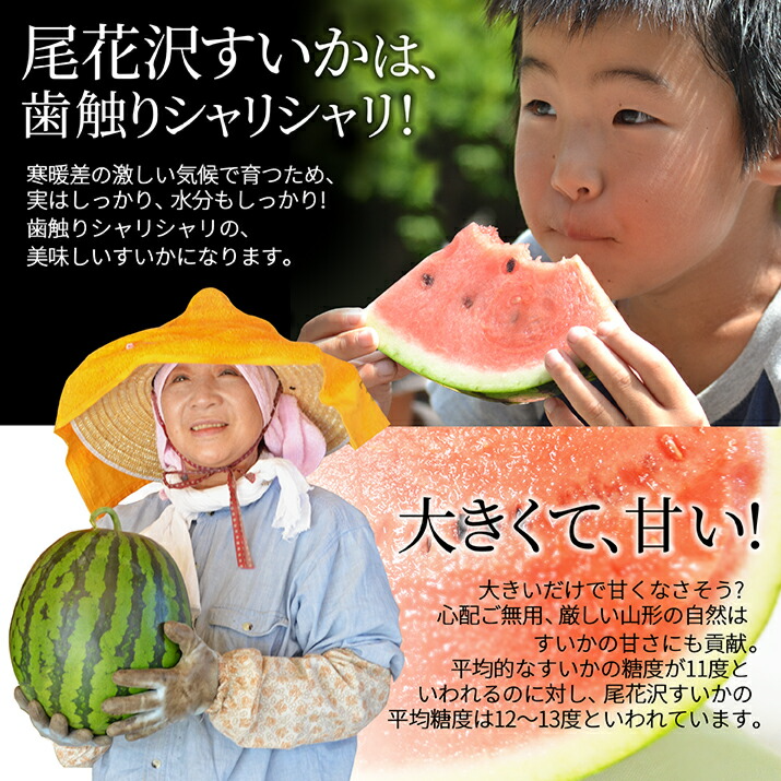 お中元 ギフト すいか 秀品 2L 7kg以上 1玉 尾花沢産 スイカ 大玉 贈答 ギフト用 甘い シャリシャリ 送料無料 産地直送 |  | 07