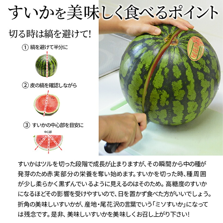 お中元 ギフト すいか 秀品 2L 7kg以上 1玉 尾花沢産 スイカ 大玉 贈答 ギフト用 甘い シャリシャリ 送料無料 産地直送 |  | 08