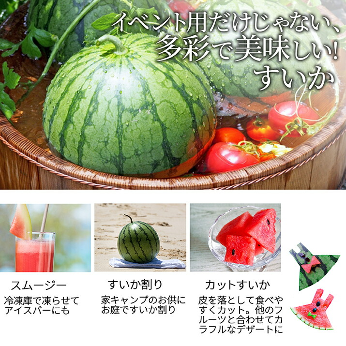 お中元 ギフト すいか 秀品 2L 7kg以上 1玉 尾花沢産 スイカ 大玉 贈答 ギフト用 甘い シャリシャリ 送料無料 産地直送 |  | 09