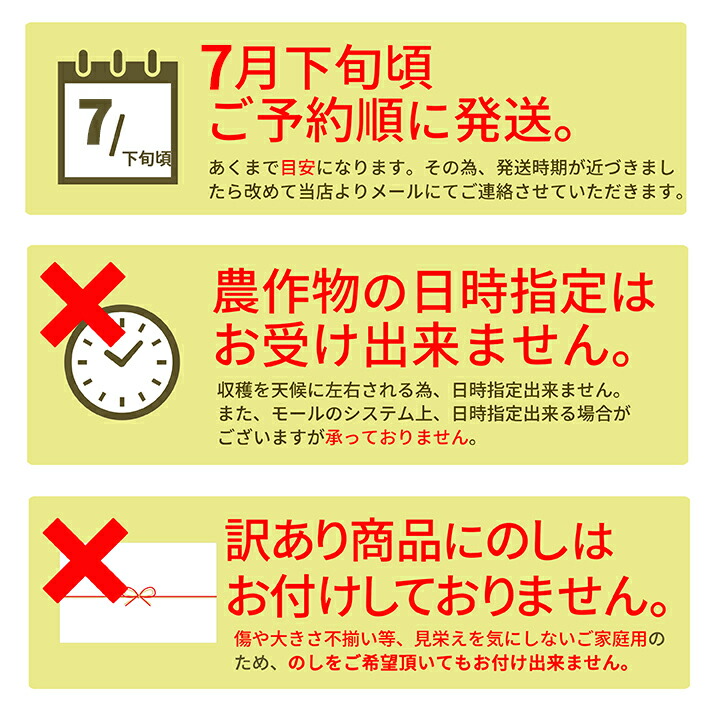 すいか 訳あり L 5kgから7kg前後 2玉 尾花沢産 スイカ ご家庭用 自家用 甘い シャリシャリ 送料無料 遠方送料加算 |  | 12