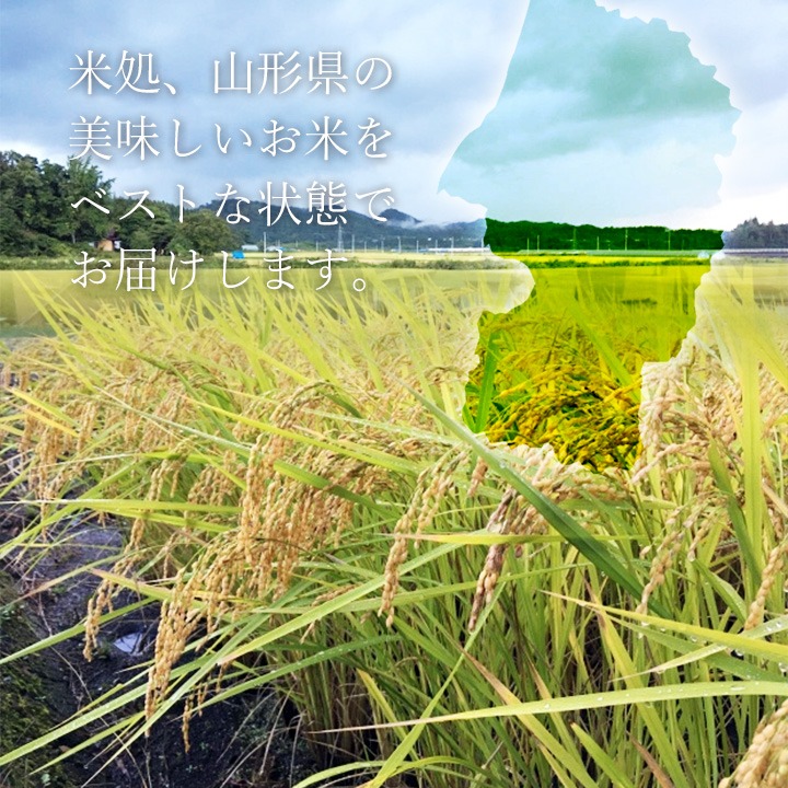 山形県産 ① つや姫1.95 ②雪若丸 棚田米 棚田米 令和2年産 つや姫・雪若丸 各5kg 食べ比べセット【数量限定