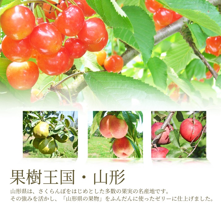 ギフト 山形産 山形育ちのフルーツゼリー 6個セット 蔵王