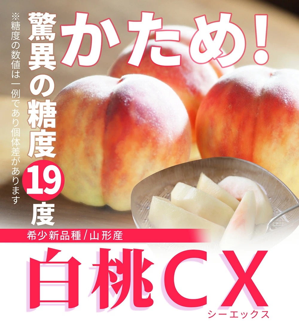 硬い桃 白桃 秀品 白桃CX 2.5kg 山形県産 送料無料 固い桃 かたい桃 か