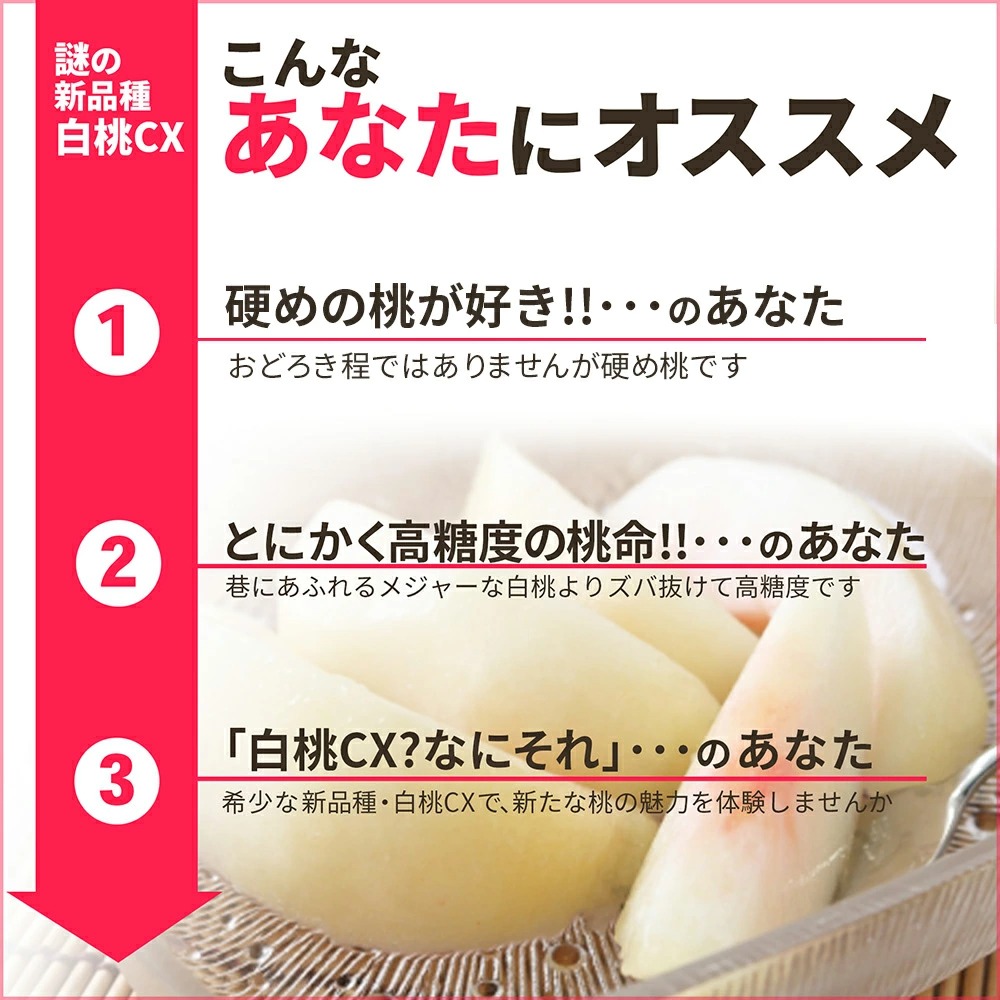 硬い桃 白桃 秀品 白桃CX 2.5kg 山形県産 送料無料 固い桃 かたい桃 か