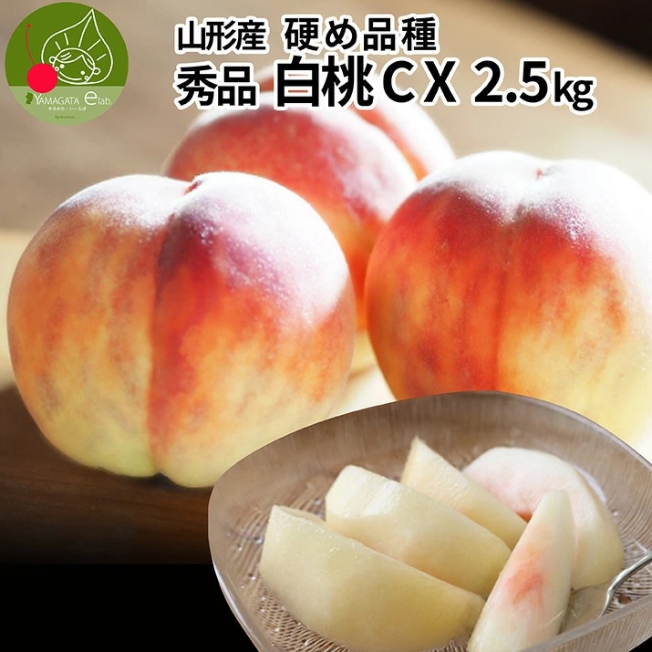 硬い桃 白桃 秀品 白桃CX 2.5kg 山形県産 送料無料 固い桃 かたい桃 かため 硬め 期間限定 産地直送 山形 シーエックス