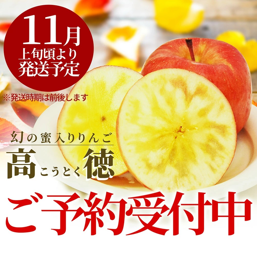 タイムセール 青森県産 高徳りんご 10キロ