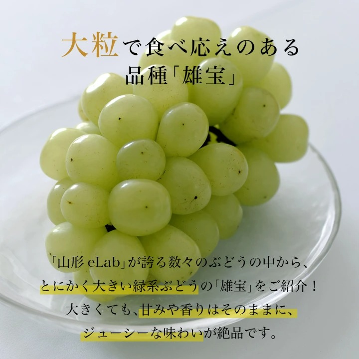 山形県産 ぶどう 雄宝 1房 (約700g) 秀品 大粒 果物 化粧箱入 産地直送 山形県産 お年賀 ギフト 同梱不可 熨斗ＯＫ 送料無料 誕生日