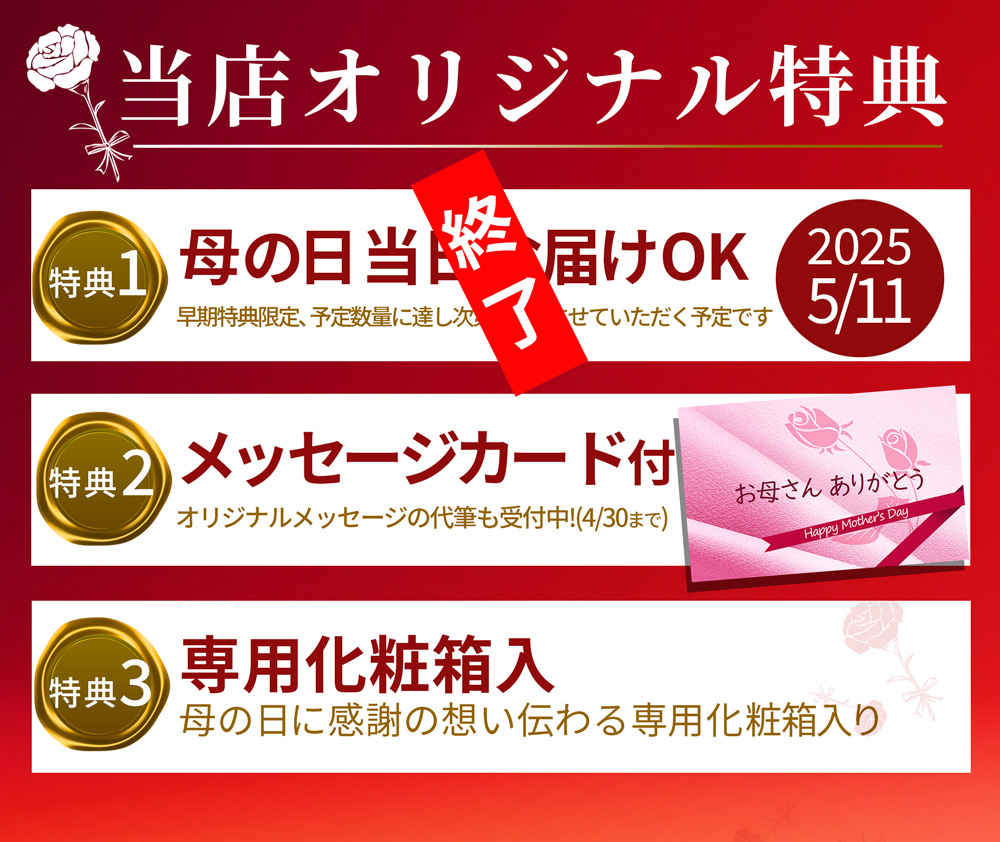 母の日 ギフト さくらんぼ 佐藤錦 2L玉 100g×2個 山形 秀品