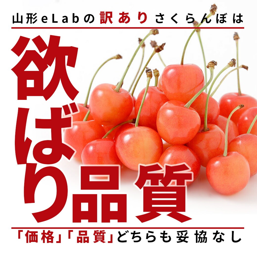 さくらんぼ 佐藤錦 or 紅秀峰 1kg 自宅用 訳あり お得用 ご家庭用 山形 山形県産 さくらんぼ訳あり サクランボ チェリー さくらんぼ  送料無料 果物 : sk-105 : グルメギフトお取り寄せ山形eLab - 通販 - Yahoo!ショッピング