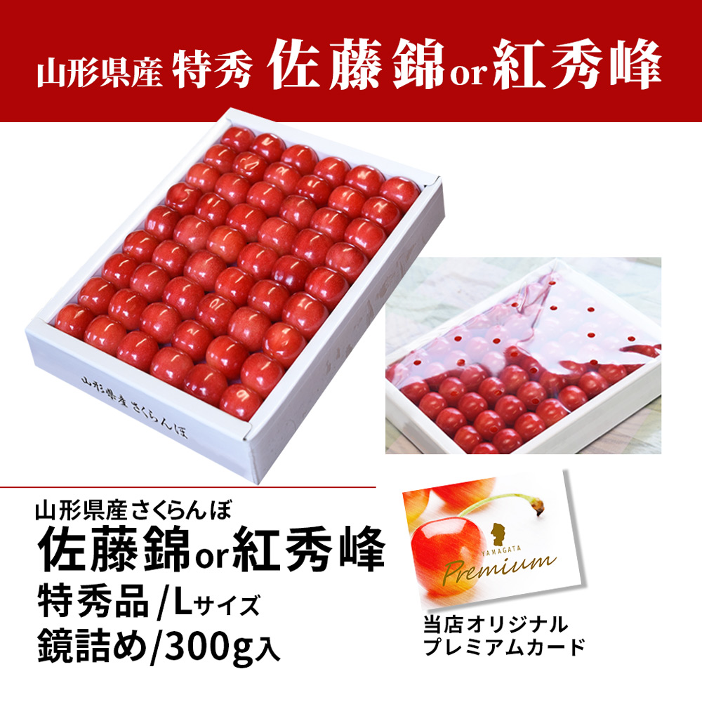 アールピース 新茶器 急須一人セット木箱付 | 信楽焼のギフト