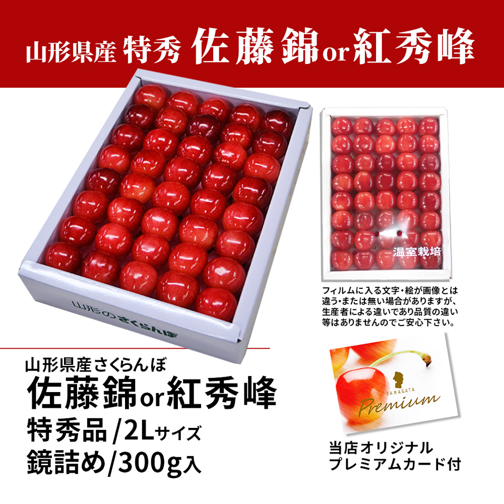 只今お届け中 さくらんぼ ギフト 佐藤錦 or 紅秀峰 2L玉 300g