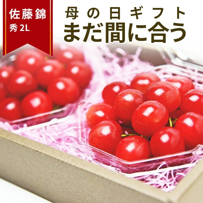 母の日 ギフト さくらんぼ 佐藤錦 2L玉 100g×2個 山形 秀品