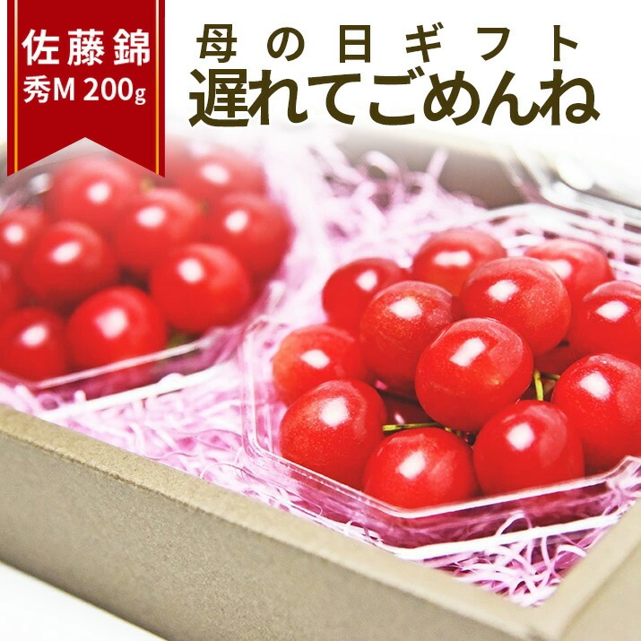 遅れてごめんね 母の日 ギフト さくらんぼ 佐藤錦 2L玉 300g 鏡詰め