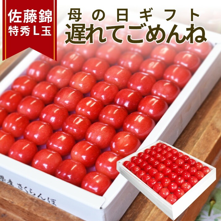 遅れてごめんね 母の日 ギフト さくらんぼ 佐藤錦 2L玉 300g 鏡詰め