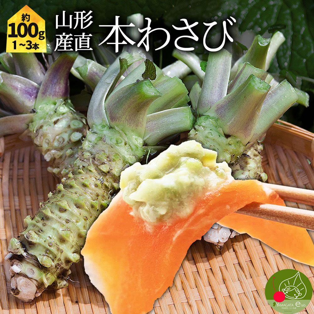 農家直送☆キズあり　本わさび　500g Wasabi | KINJIRUSHI Group Delivering the blessings of nature