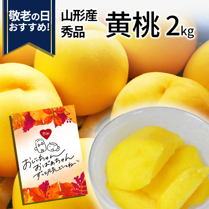 桃 山形県産」の人気商品一覧 | 安い商品を通販サイトから探す