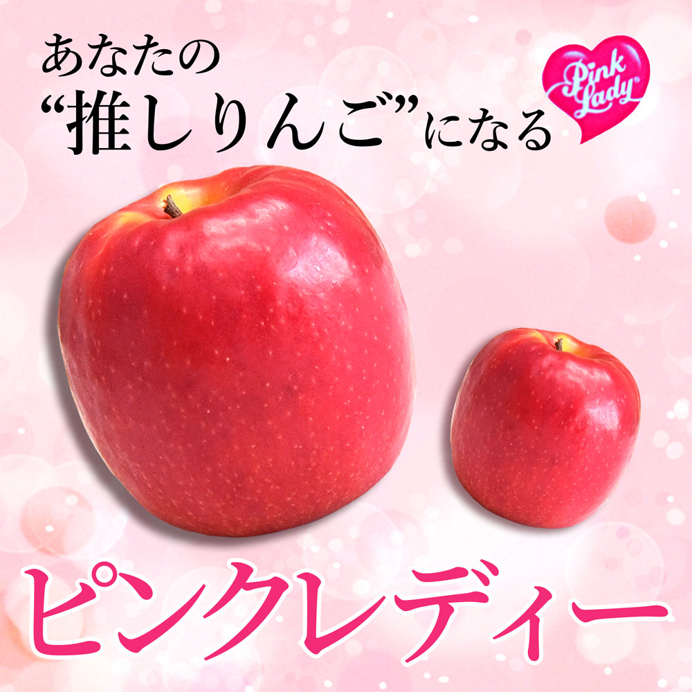 りんご 秀品 ピンクレディー 2kg フルーツ 山形県産 約6〜9玉入