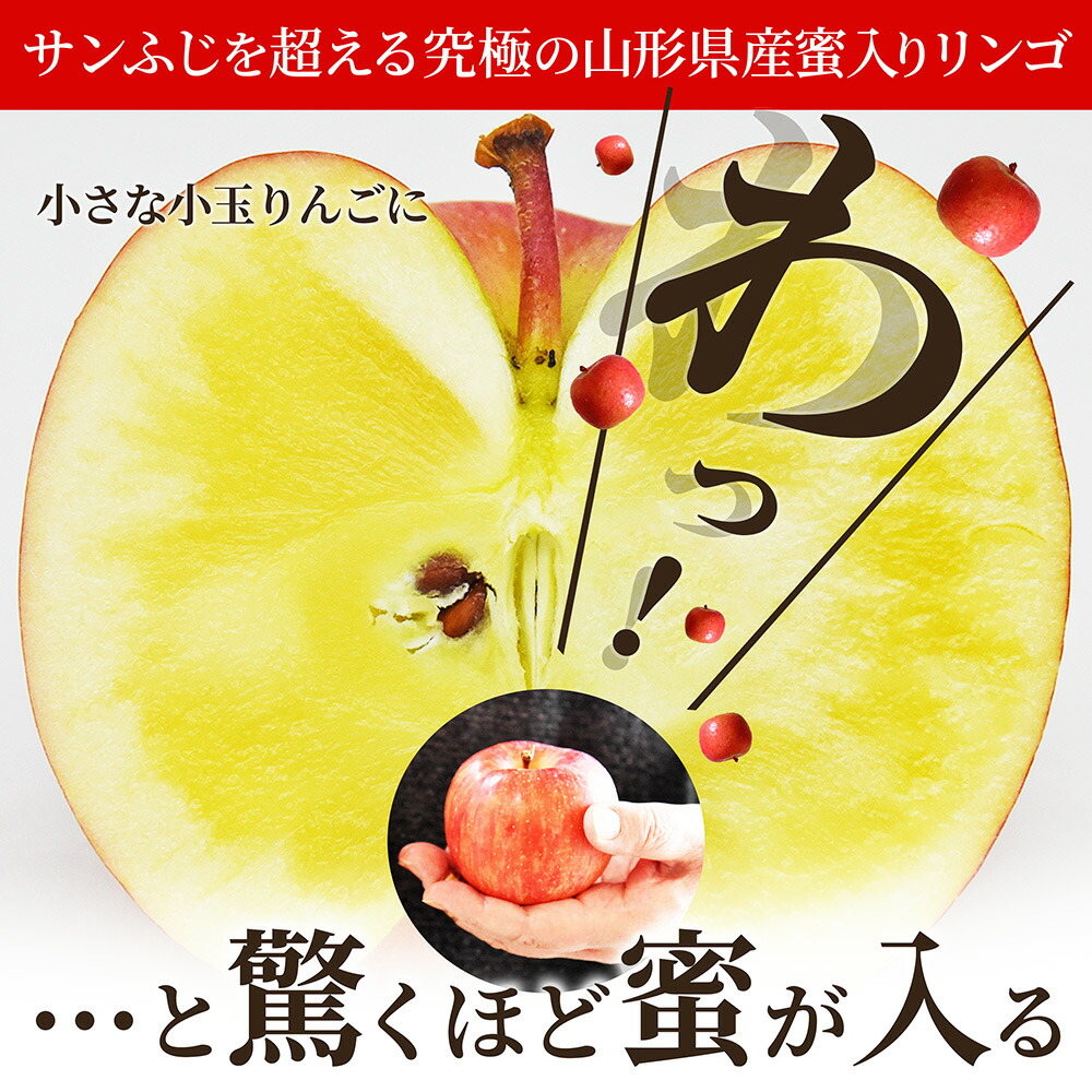 りんご 高徳(こうとく) 極小 独り占め 約1.5kg 約12〜15玉入 山形県産