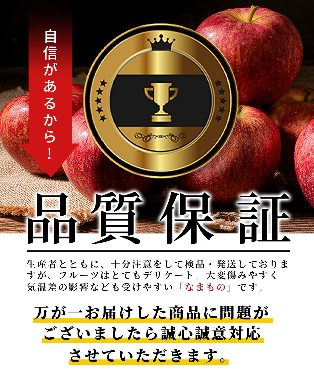 りんご 高徳(こうとく) 極小 独り占め 約1.5kg 約12〜15玉入 山形県産