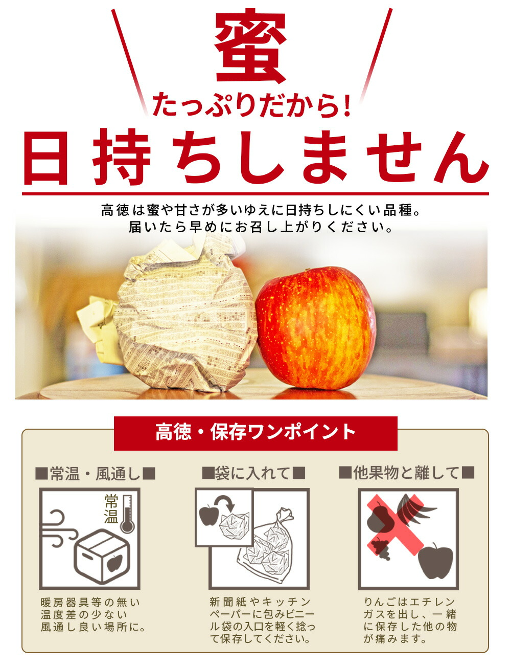 りんご 高徳(こうとく) 極小 独り占め 約1.5kg 約12〜15玉入 山形県産