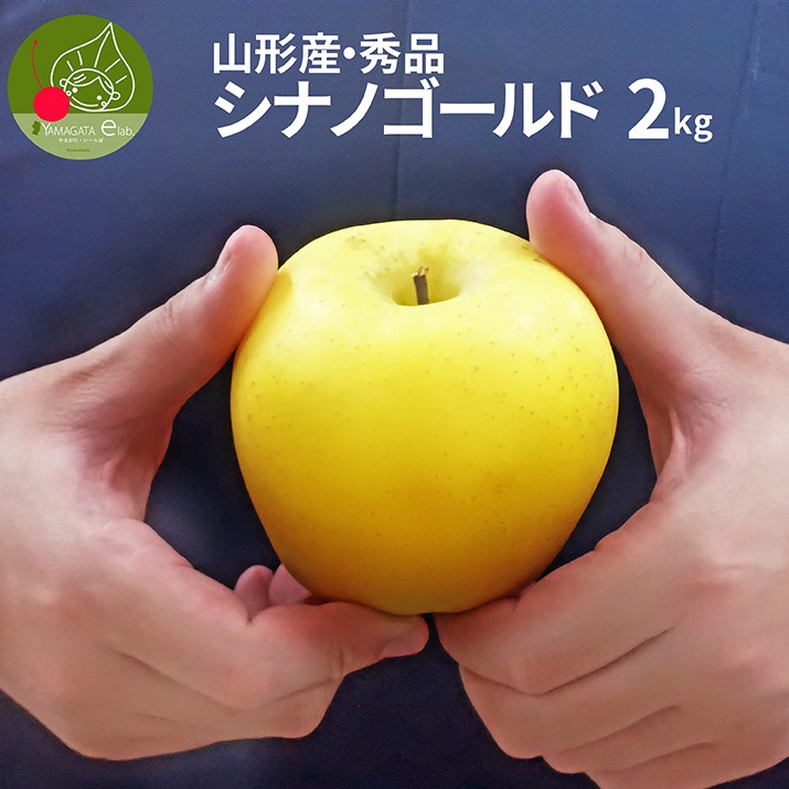  Gi VimS[h 2kg (6`9ʓ) t[c R`Y p ϔ Mtg N ʕ 