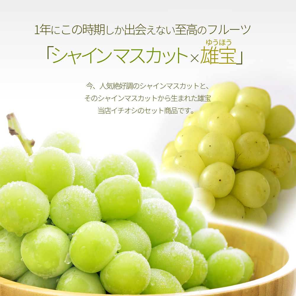 山形県産 ぶどう シャインマスカット × 雄宝 食べ比べ 2房入れ (1.8kg