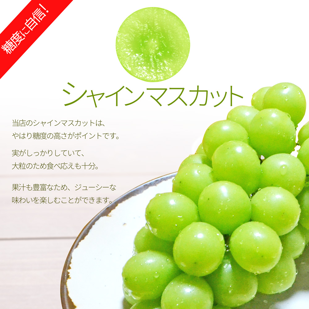 山形県産 ぶどう シャインマスカット × 雄宝 食べ比べ 2房入れ (1.8kg