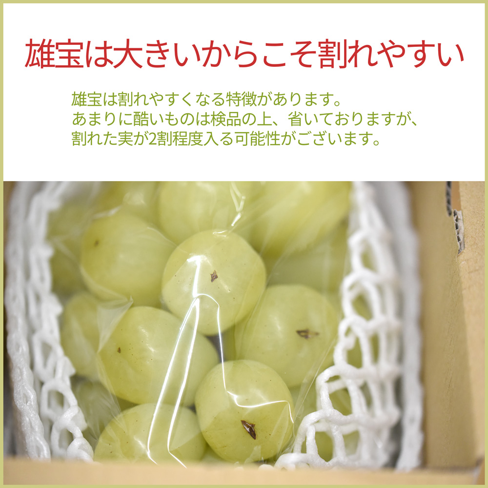 シャインマスカット 雄宝 訳あり お試しパック 4kg 楽天市場】シャインマスカット 訳あり 4kg 山梨県産 粒不揃い 路地栽培