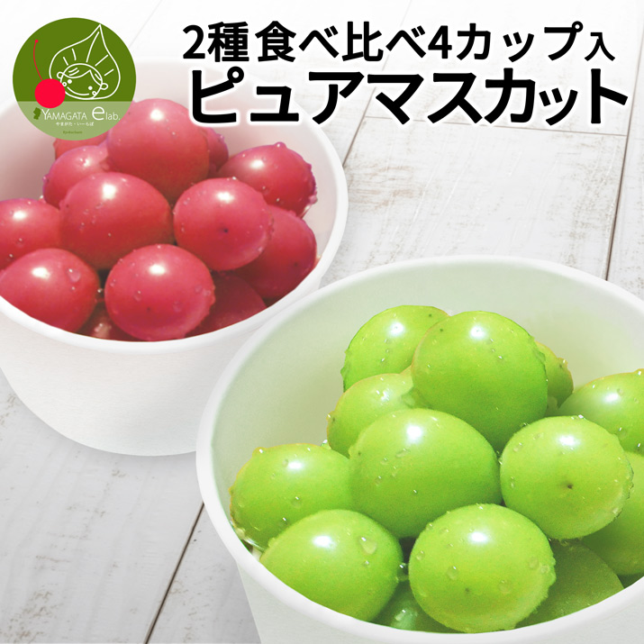 �Ԃǂ� �s���A�}�X�J�b�g 2��� �H�ה�� �Z�b�g 4�J�b�v���� �R�`���Y �V���C���}�X�J�b�g �Y�� �X�J�[���b�g �� �������� �ʕ�