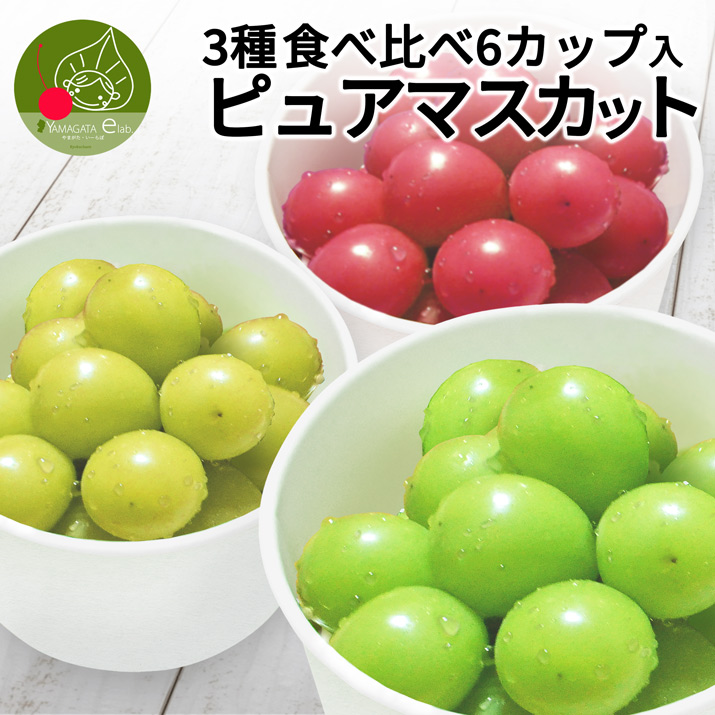 �Ԃǂ� �s���A�}�X�J�b�g 3��� �H�ה�� �Z�b�g 6�J�b�v���� �R�`���Y �V���C���}�X�J�b�g �Y�� �X�J�[���b�g �� �������� �ʕ�