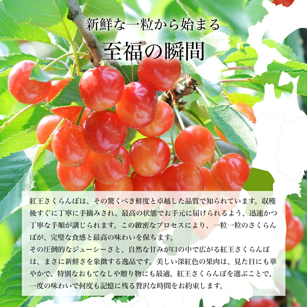 さくらんぼ紅王
