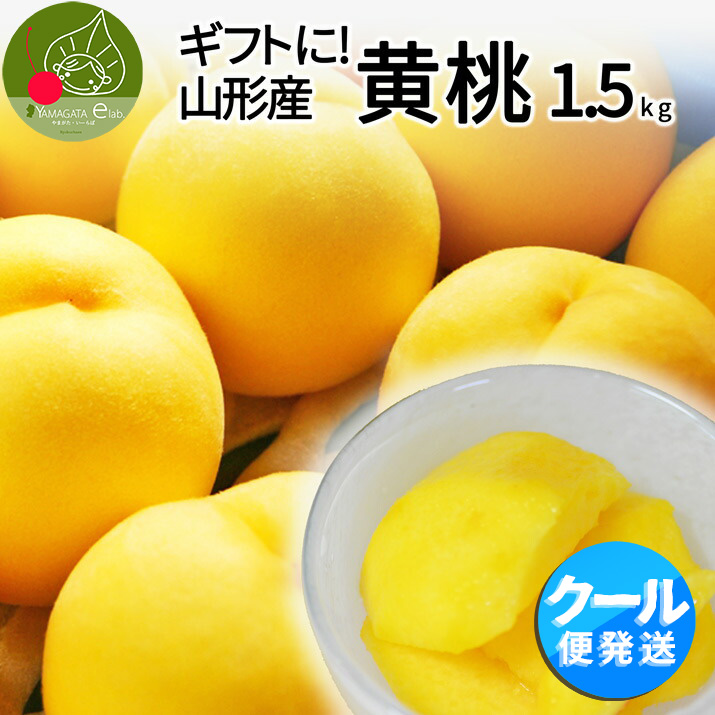 山形県産 黄桃 秀品 約1.5kg (6玉前後) クール便 化粧箱入り