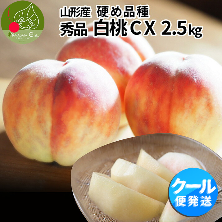 硬い桃 白桃 秀品 白桃CX 2.5kg 山形県産 送料無料 固い桃 かたい桃 かため 硬め 期間限定 産地直送 山形 シーエックス