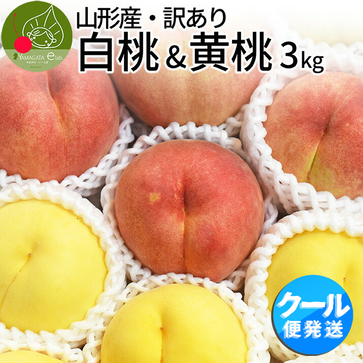 R`Y  &amp;  󂠂 3kg 8-14 lߍ킹 N[  ł _炩 d  ʕ t[c