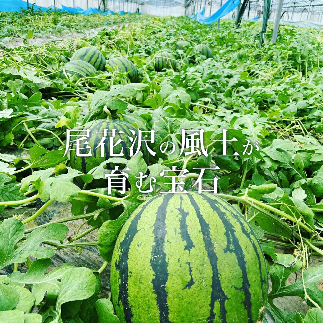 尾花沢すいか