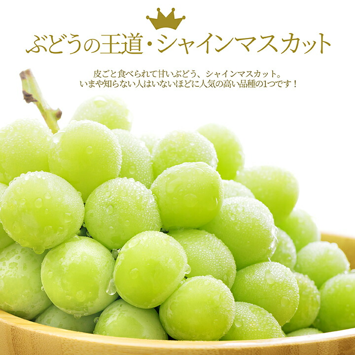 シャインマスカット×マスカットノワール×マスカサーティーン 計約1.7kg 山形県産 ぶどう 詰め合わせ 秀品 大粒 果物 化粧箱入 産地直送 ギフト 送料無料_1