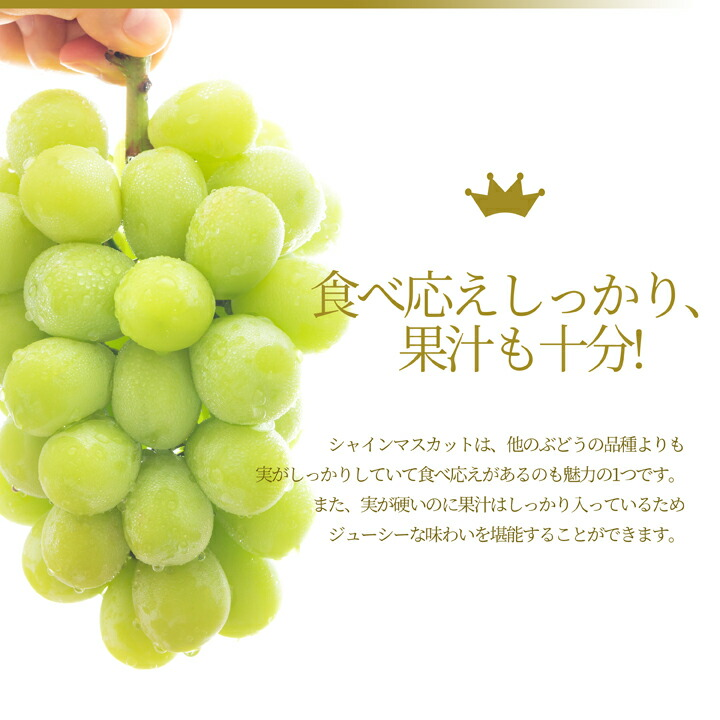 シャインマスカット×マスカットノワール×マスカサーティーン 計約1.7kg 山形県産 ぶどう 詰め合わせ 秀品 大粒 果物 化粧箱入 産地直送 ギフト 送料無料_4
