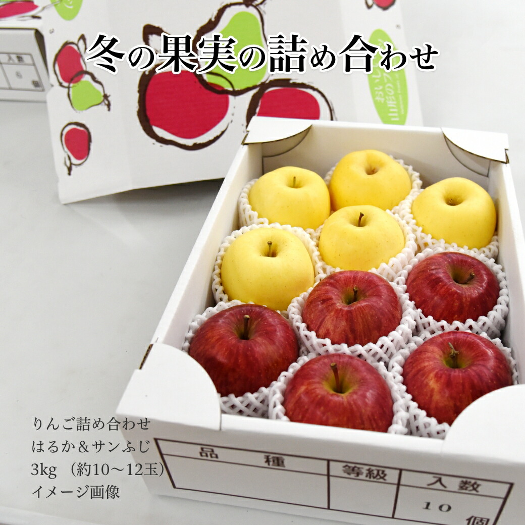 りんご サンふじ ＆ はるか 蜜入り セット 秀品 3kg 約10〜12玉入 贈答