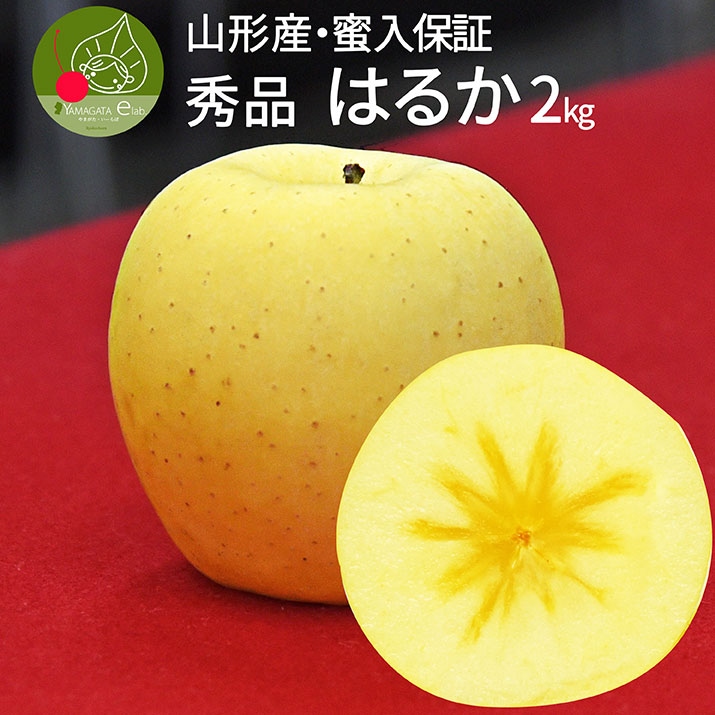  ͂邩 2kg 5`8ʑO  R`Y Ɨp F S  Mtg 蕨 v[g ϔ Yn  Z ʕ