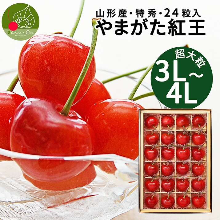 �R�`���Y �g�� ���G 3L�E4L 24���� �M�t�g������ ���ϔ��� �Y�n���� ��l�� �v���o�Ɏc�� �������� �����s�� �t���[�c�M�t�g �ʕ� ������