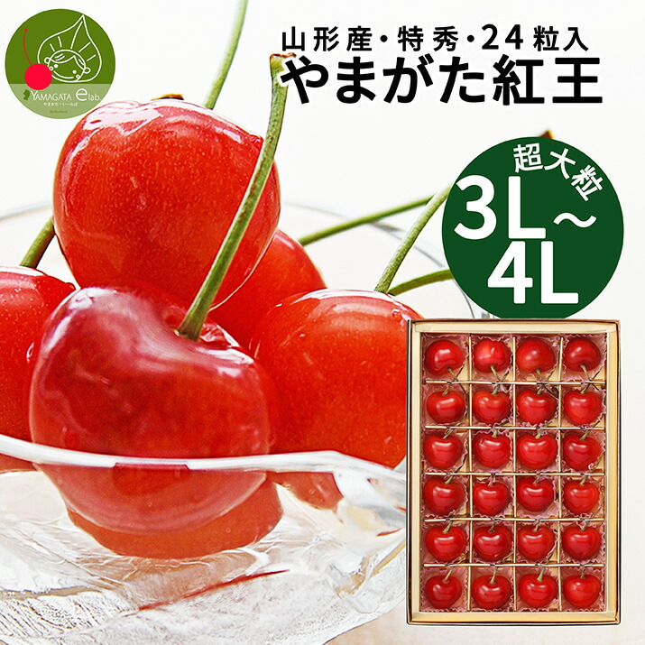 �R�`���Y �������� �g�� ���G 3L 12������ �M�t�g�� �嗱 2L ���傫�� ���ϔ��� �Y�n���� ��l�� �v���o�Ɏc�� �������� �����s��