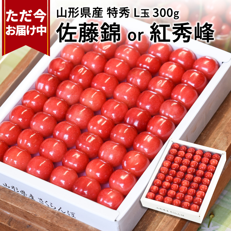 山形さくらんぼ通販】佐藤錦Lサイズアップ1kバラ｜送料無料